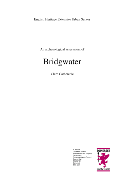Bridgwater report