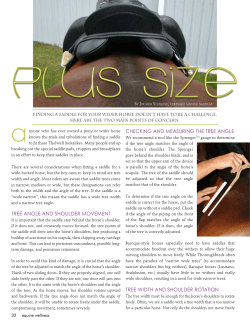 Plus Size - Finding a saddle for your wider horse
