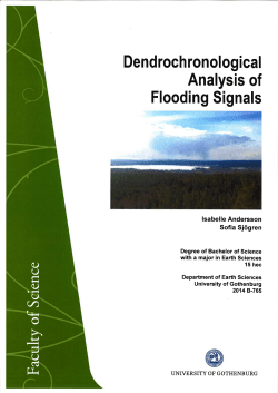 Dendrochronological Analysis of Flooding Signals