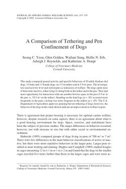 A Comparison of Tethering and Pen Confinement of Dogs