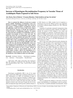 Increase of Homologous Recombination Frequency in Vascular