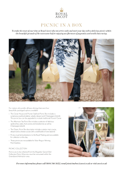 picnic in a box - Ascot Racecourse