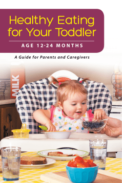 Healthy Eating for Your Toddler Guide