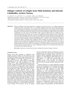 Halogen contents of eclogite facies &macr;uid inclusions and minerals