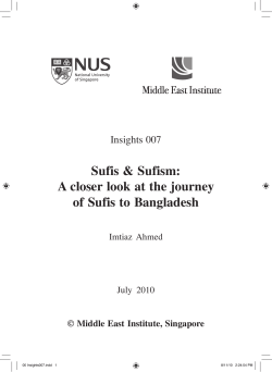 MEI-Insights-007 - MEI-NUS