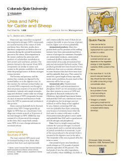 Urea and NPN for Cattle and Sheep