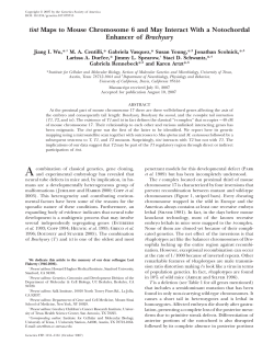 tint Maps to Mouse Chromosome 6 and May