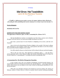 Page 1 [1] Issue (# 17) A Tzaddik, or righteous person makes