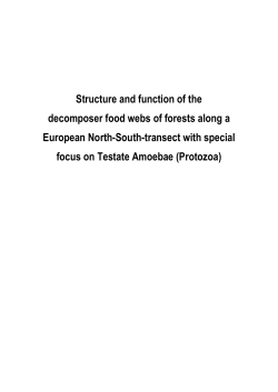 Structure and function of the decomposer food webs of forests along