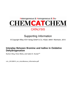 Supporting Information