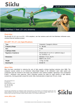 EtherHaul 1 feet (31 cm) Antenna