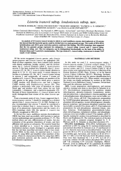 Listeria ivanovii subsp. londoniensis subsp nova