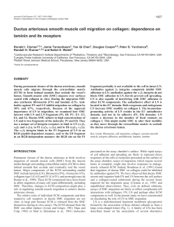 Ductus arteriosus smooth muscle cell migration on collagen