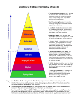 Maslow`s 8-Stage Hierarchy of Needs