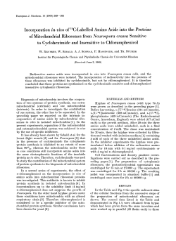 Incorporation in vivo of 14C-Labelled Amino Acids into