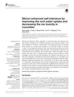 Silicon enhanced salt tolerance by improving the root water uptake