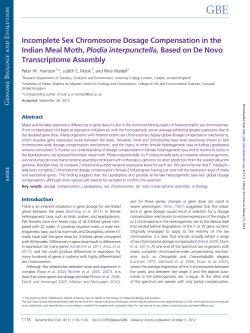 Incomplete Sex Chromosome Dosage Compensation in the Indian