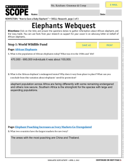 Elephants Webquest