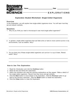 Single-Celled Organisms