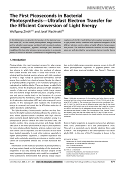 The First Picoseconds in Bacterial Photosynthesis