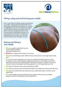 Fitting, using and maintaining your saddle