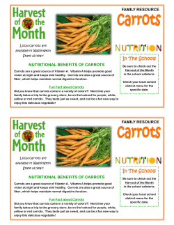Family Resource Half-Sheet Carrots