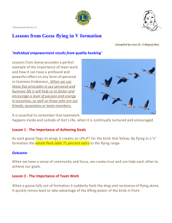 Lessons from Geese flying in V formation
