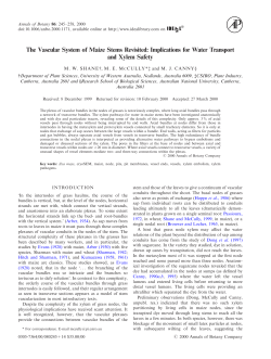 The Vascular System of Maize Stems Revisited