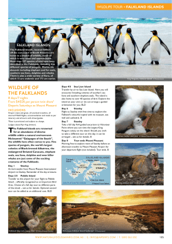 Falkland Islands - Natural Focus Safaris