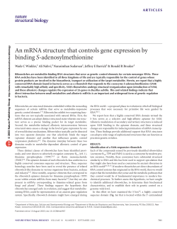 An mRNA structure that controls gene expression by binding S