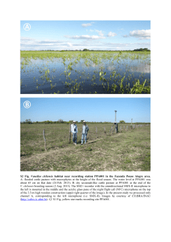 S2 Fig. Vanellus chilensis habitat near recording station PPA001 in