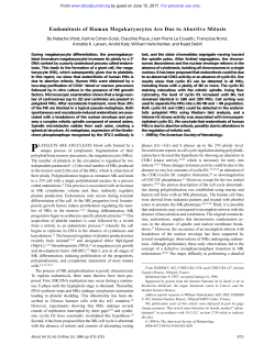 Endomitosis of Human Megakaryocytes Are Due to