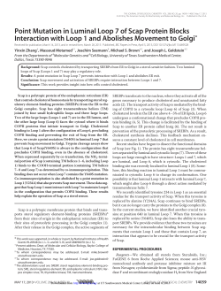 Point Mutation in Luminal Loop 7 of Scap Protein