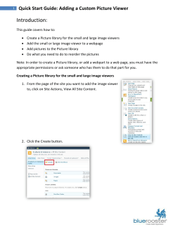 Quick Start Guide: Adding a Custom Picture Viewer