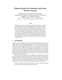 Efficient Head Pose Estimation with Gabor Wavelet Networks