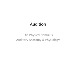 Auditory System Notes