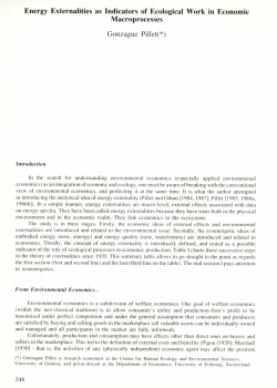 Energy Externalities as Indicators of Ecological Work in Economic