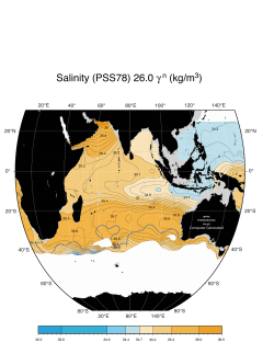 Salinity (PSS78) 26.0 &gamma; (kg/m )