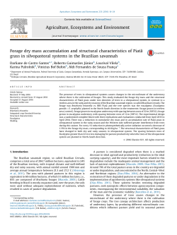 Forage dry mass accumulation and structural characteristics of Piat&atilde;