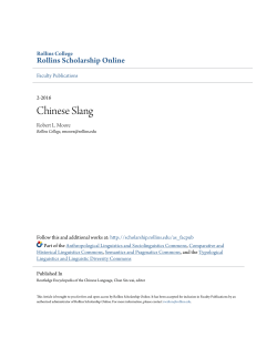Chinese Slang - Rollins Scholarship Online