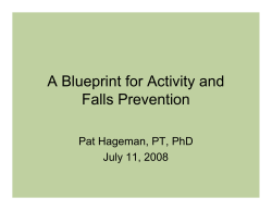 A Blueprint for Activity and Falls Prevention