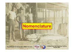 Nomenclature - Royal Museum for Central Africa