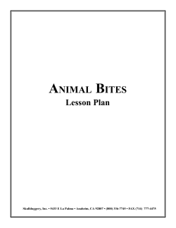 Animal Bites