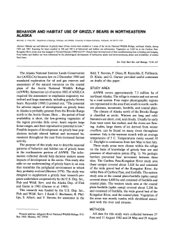 behavior and habitat use of grizzly bears