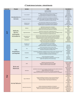 Introduction to Animals Mollusks, Worms, Arthropods, Echinoderms