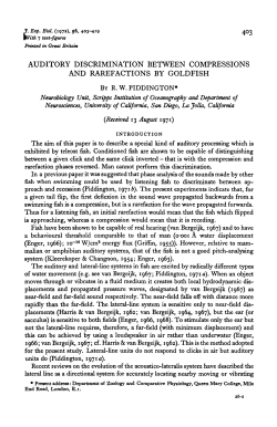 auditory discrimination between compressions