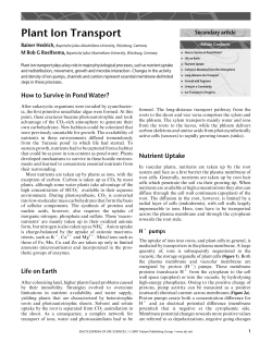 plant ion transport