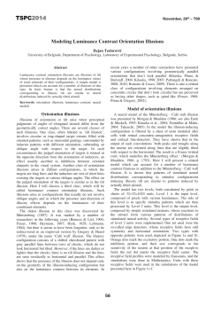 Modeling Luminance Contrast Orientation Illusions