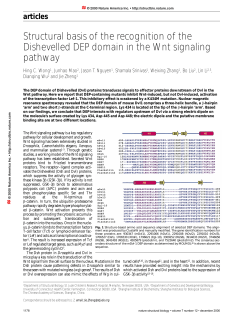 Structural basis of the recognition of the Dishevelled DEP domain in