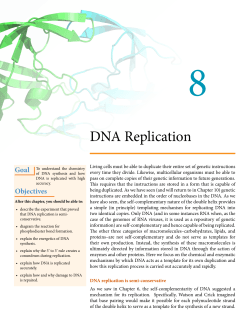 DNA Replication